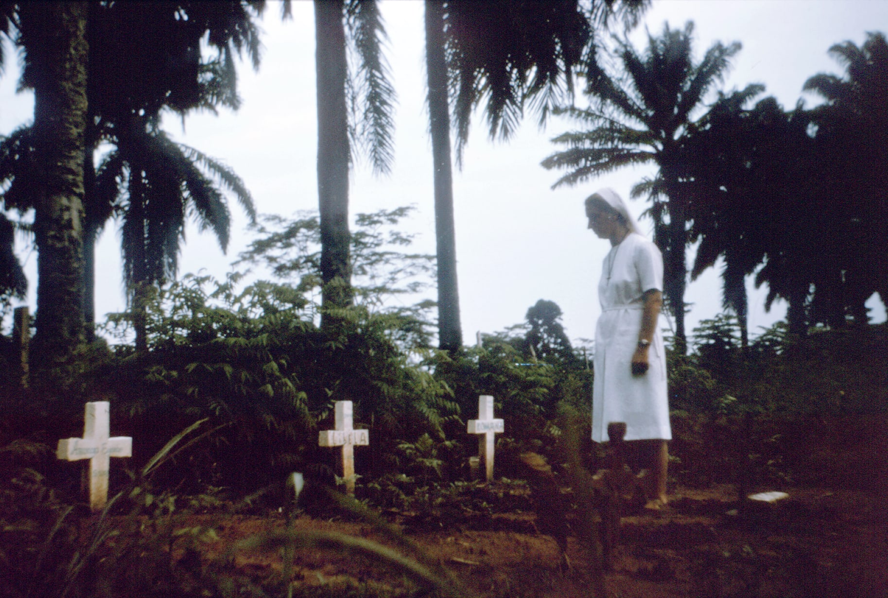 A nun in a white habit walks among simple white crosses marking graves beneath palm trees.
