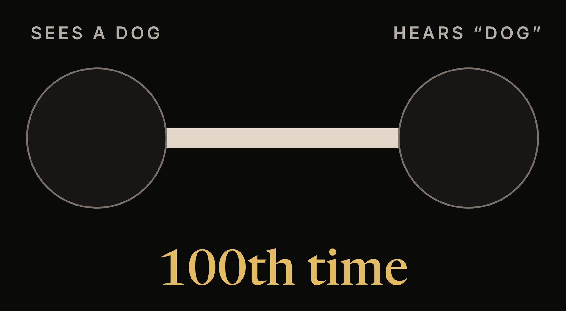 Diagram of two brain cells labelled sees a dog and hears dog, joined by a thick link, with the words 100th time